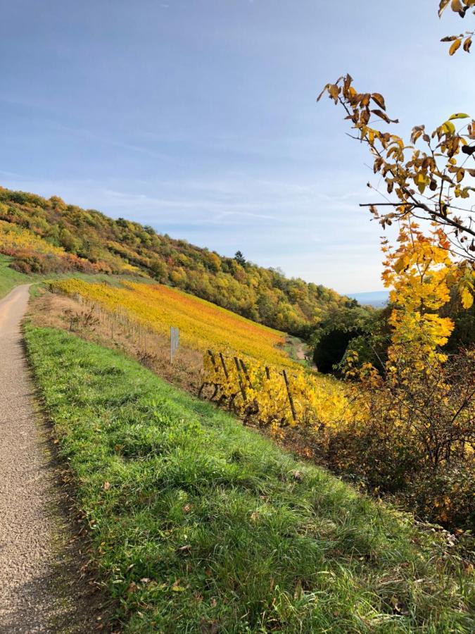 Le Gite Du Sommerberg Niedermorschwihr Eksteriør billede