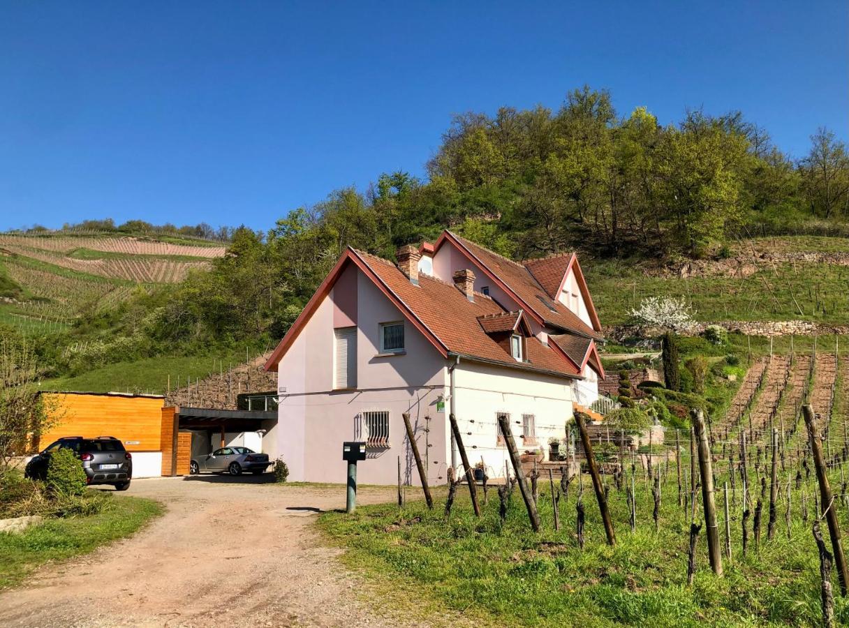 Le Gite Du Sommerberg Niedermorschwihr Eksteriør billede